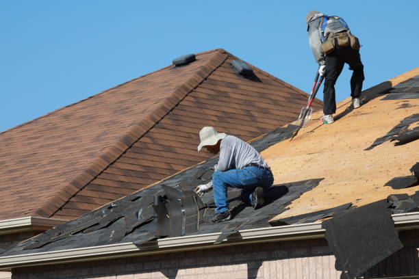 Best Green or Eco-Friendly Roofing Solutions  in City View, SC